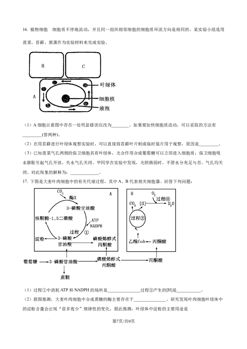 精品解析：重庆实验外国语学校2025-2026学年高三上学期9月月考2生物试题（原卷版）_2025年10月_251001重庆实验外国语学校2025-2026学年高三上学期9月月考（二）（全科）