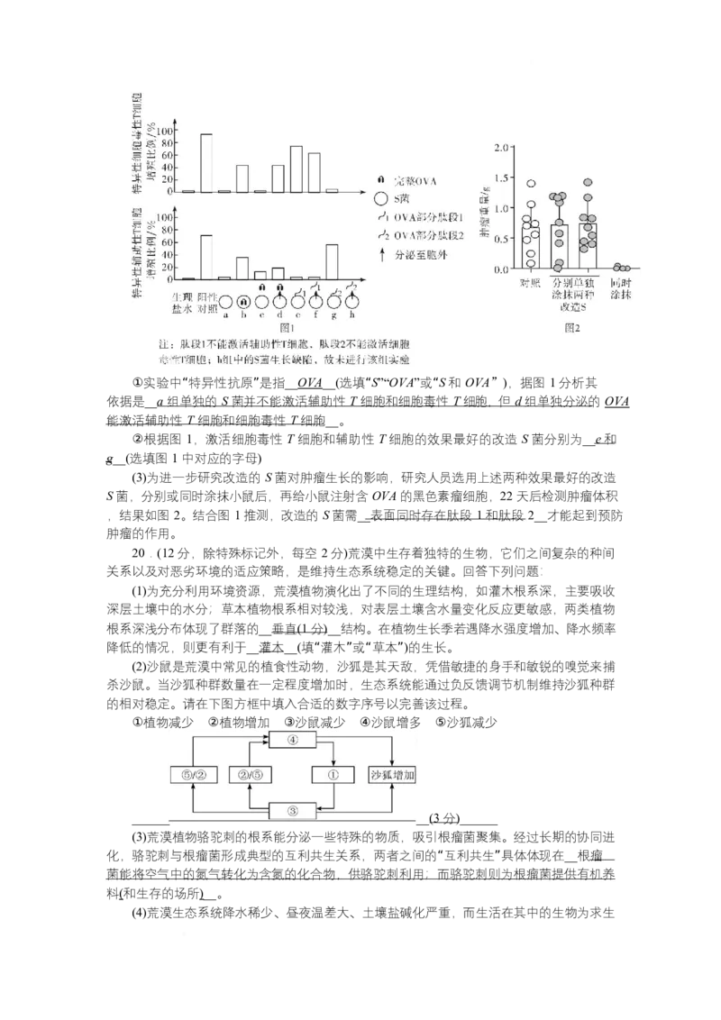 附中8生物（一模）&mdash;&mdash;教_2025年4月_250418湖南师范大学附属中学2025届高三下学期4月模拟（一）（全科）_湖南师范大学附属中学2025届高三下学期4月模拟（一）生物试题