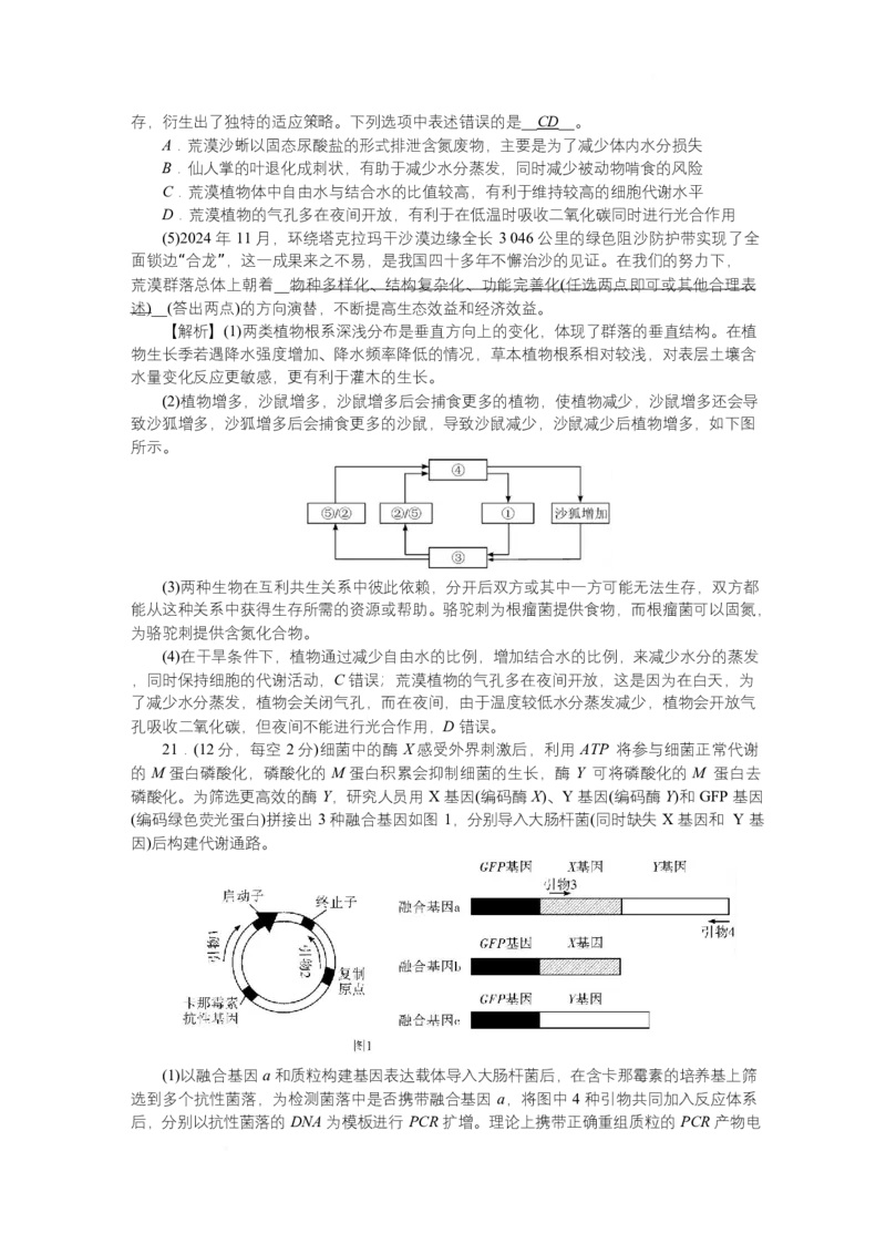 附中8生物（一模）&mdash;&mdash;教_2025年4月_250418湖南师范大学附属中学2025届高三下学期4月模拟（一）（全科）_湖南师范大学附属中学2025届高三下学期4月模拟（一）生物试题
