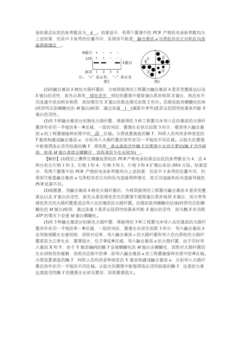 附中8生物（一模）&mdash;&mdash;教_2025年4月_250418湖南师范大学附属中学2025届高三下学期4月模拟（一）（全科）_湖南师范大学附属中学2025届高三下学期4月模拟（一）生物试题