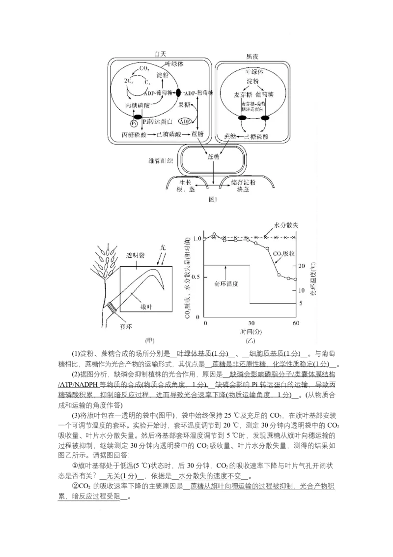 附中8生物（一模）&mdash;&mdash;教_2025年4月_250418湖南师范大学附属中学2025届高三下学期4月模拟（一）（全科）_湖南师范大学附属中学2025届高三下学期4月模拟（一）生物试题