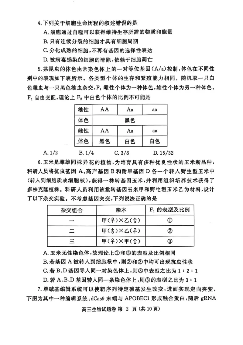 河南省郑州市2025年高中毕业年级第二次质量预测生物试卷（含答案）_2025年3月_250326河南省郑州市2025年高中毕业年级第二次质量预测（郑州二模）（全科）