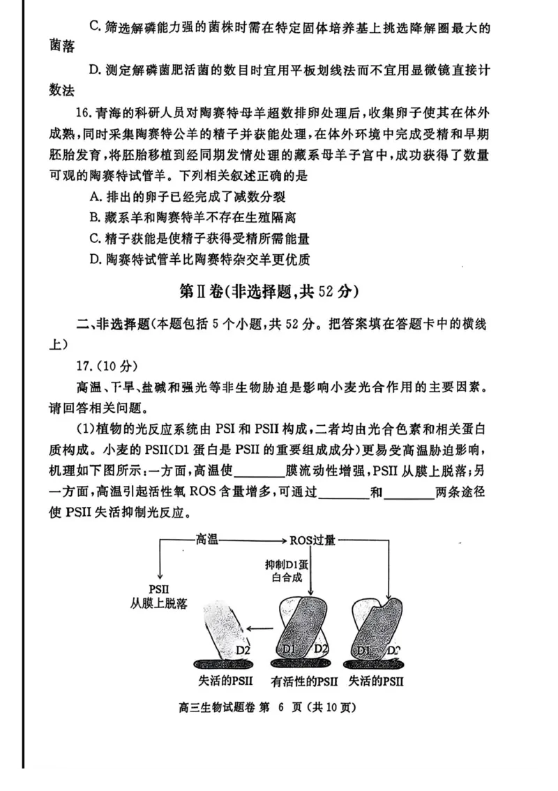 河南省郑州市2025年高中毕业年级第二次质量预测生物试卷（含答案）_2025年3月_250326河南省郑州市2025年高中毕业年级第二次质量预测（郑州二模）（全科）