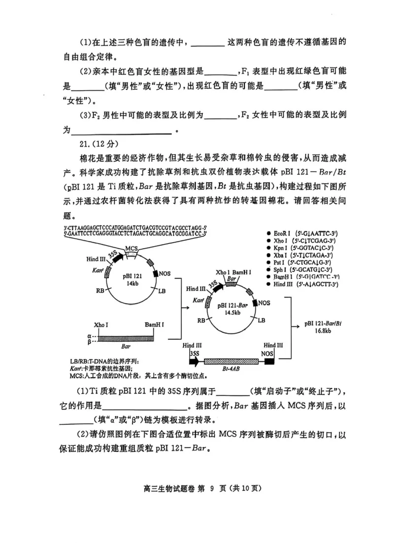 河南省郑州市2025年高中毕业年级第二次质量预测生物试卷（含答案）_2025年3月_250326河南省郑州市2025年高中毕业年级第二次质量预测（郑州二模）（全科）