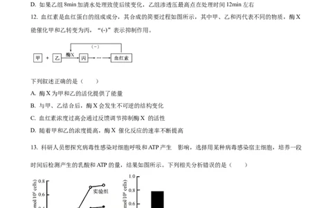 精品解析：安徽省合肥市第七中学2025-2026学年高三上学期第一次质量检测生物试题（原卷版）_2025年9月_250924安徽省合肥市第七中学2025-2026学年高三上学期第一次质量检测（全科）