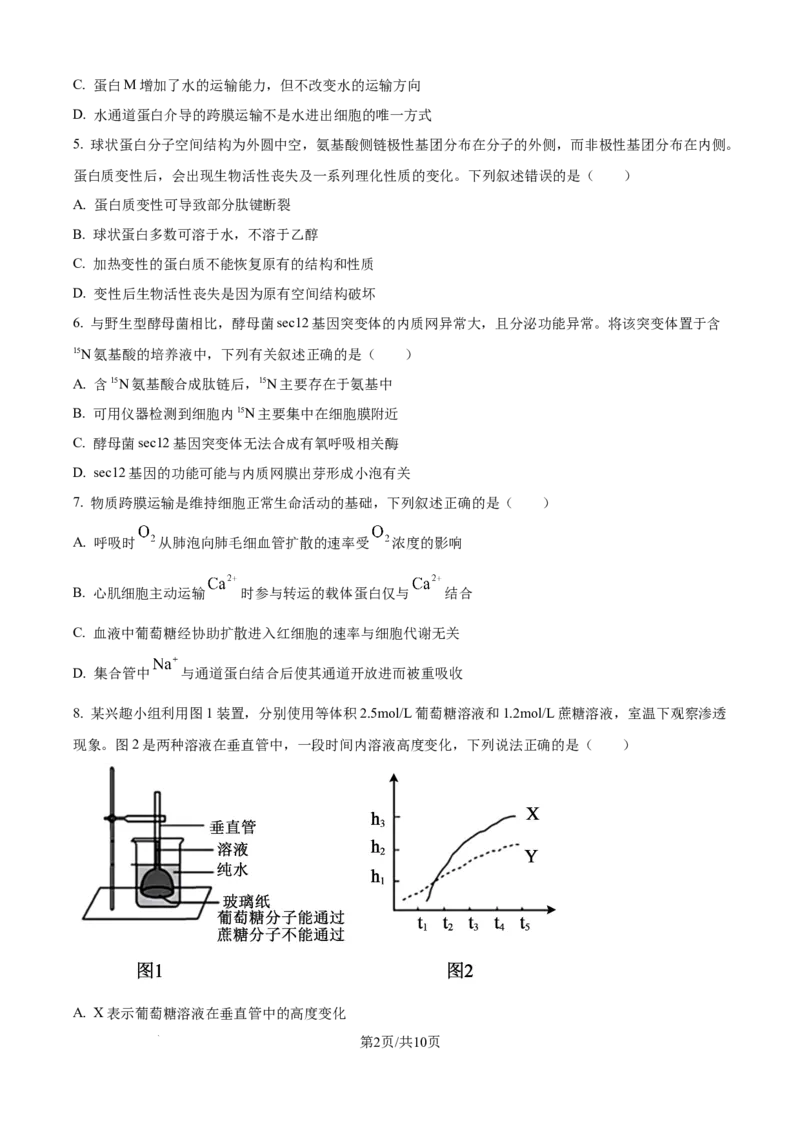 精品解析：安徽省合肥市第七中学2025-2026学年高三上学期第一次质量检测生物试题（原卷版）_2025年9月_250924安徽省合肥市第七中学2025-2026学年高三上学期第一次质量检测（全科）