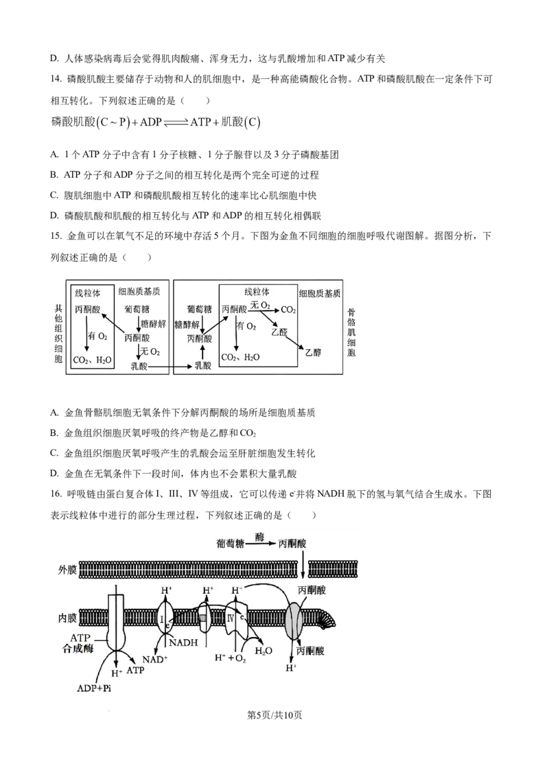 精品解析：安徽省合肥市第七中学2025-2026学年高三上学期第一次质量检测生物试题（原卷版）_2025年9月_250924安徽省合肥市第七中学2025-2026学年高三上学期第一次质量检测（全科）