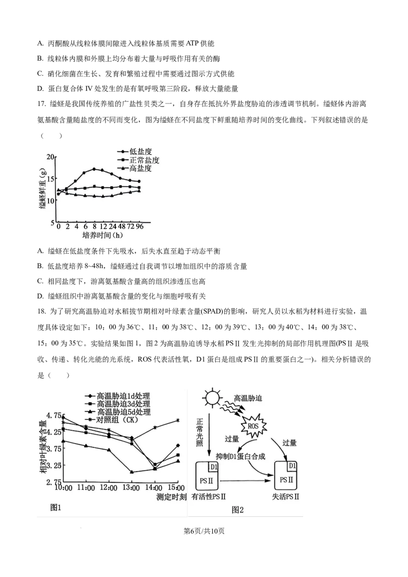 精品解析：安徽省合肥市第七中学2025-2026学年高三上学期第一次质量检测生物试题（原卷版）_2025年9月_250924安徽省合肥市第七中学2025-2026学年高三上学期第一次质量检测（全科）