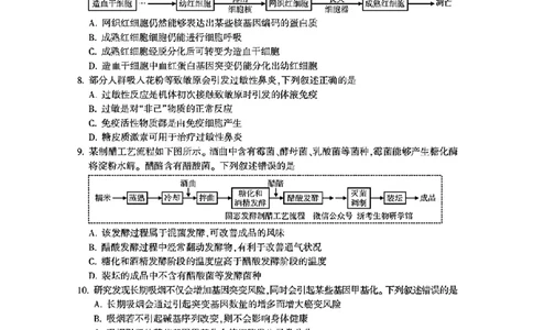 金华十校2025年4月高三模拟考试生物试卷及答案_2025年4月_250413浙江省金华十校2025年4月高三模拟考试（全科）