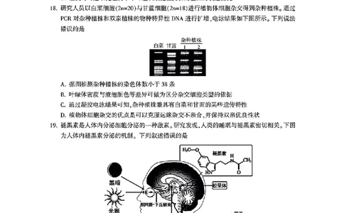 金华十校2025年4月高三模拟考试生物试卷及答案_2025年4月_250413浙江省金华十校2025年4月高三模拟考试（全科）