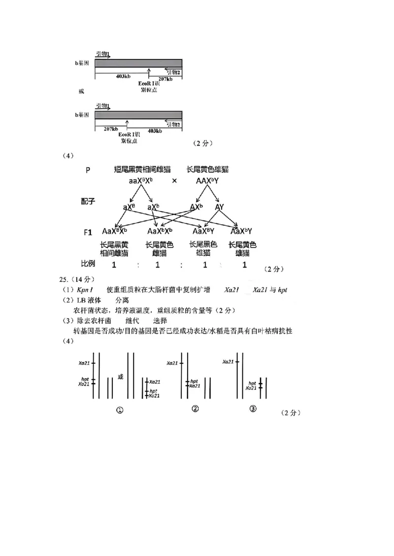 金华十校2025年4月高三模拟考试生物试卷及答案_2025年4月_250413浙江省金华十校2025年4月高三模拟考试（全科）