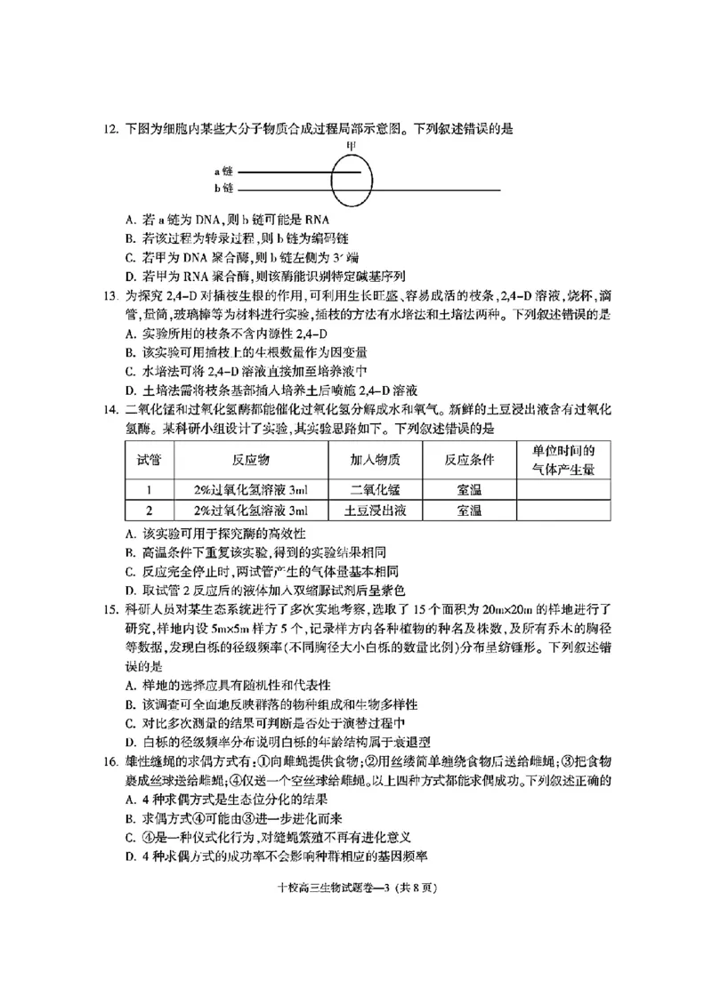 金华十校2025年4月高三模拟考试生物试卷及答案_2025年4月_250413浙江省金华十校2025年4月高三模拟考试（全科）