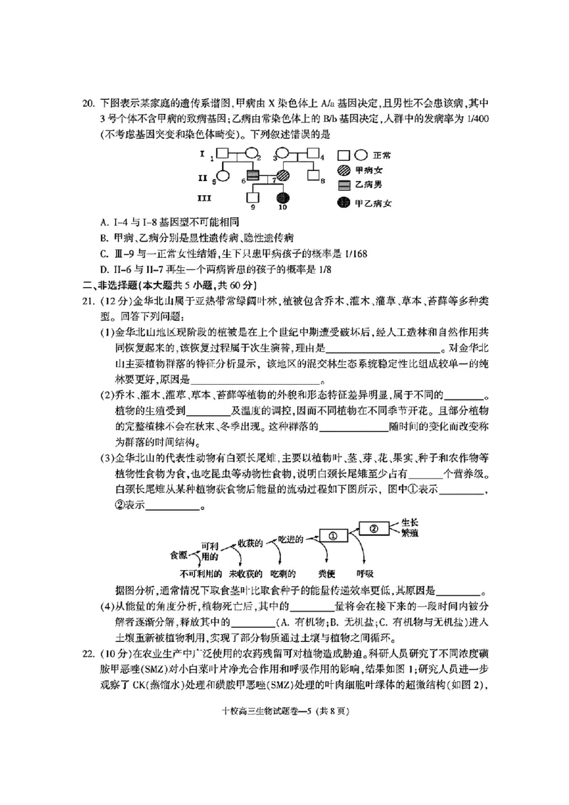 金华十校2025年4月高三模拟考试生物试卷及答案_2025年4月_250413浙江省金华十校2025年4月高三模拟考试（全科）