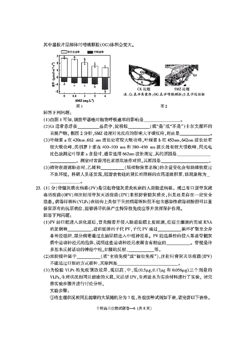 金华十校2025年4月高三模拟考试生物试卷及答案_2025年4月_250413浙江省金华十校2025年4月高三模拟考试（全科）