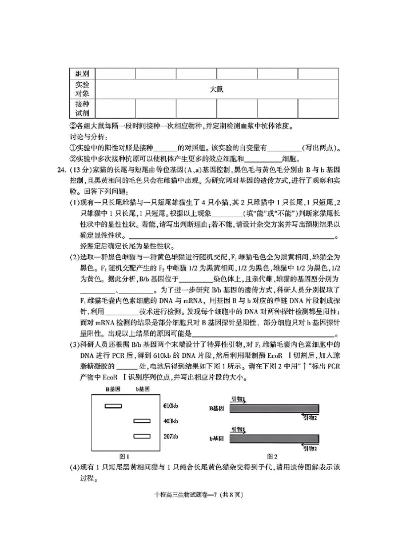 金华十校2025年4月高三模拟考试生物试卷及答案_2025年4月_250413浙江省金华十校2025年4月高三模拟考试（全科）