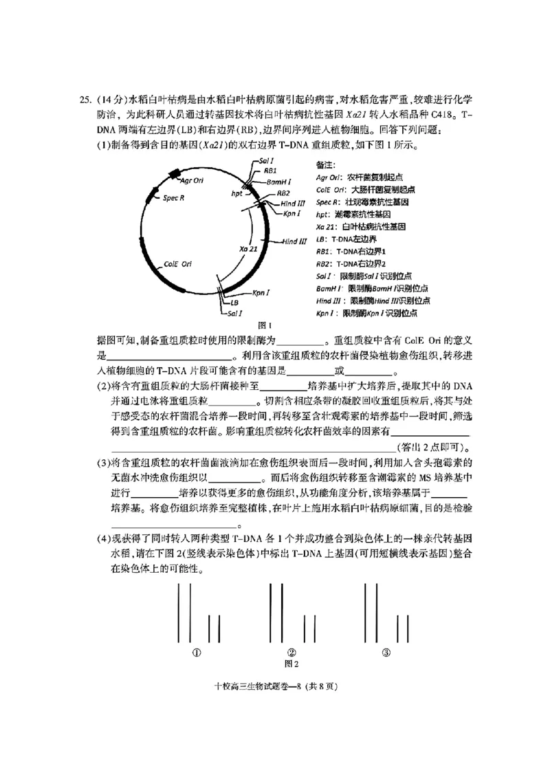 金华十校2025年4月高三模拟考试生物试卷及答案_2025年4月_250413浙江省金华十校2025年4月高三模拟考试（全科）