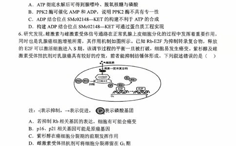 河南省南阳市第一中学2026届高三上学期第一次月考试题生物PDF版含答案_2025年10月_251026河南省南阳市第一中学2026届高三上学期第一次月考