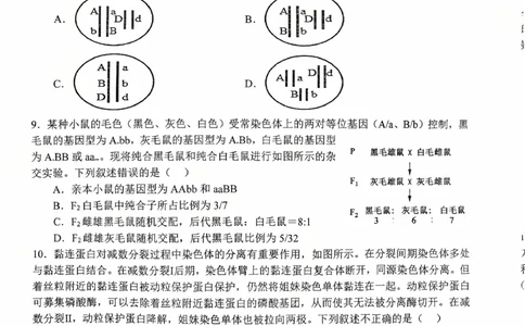 河南省南阳市第一中学2026届高三上学期第一次月考试题生物PDF版含答案_2025年10月_251026河南省南阳市第一中学2026届高三上学期第一次月考