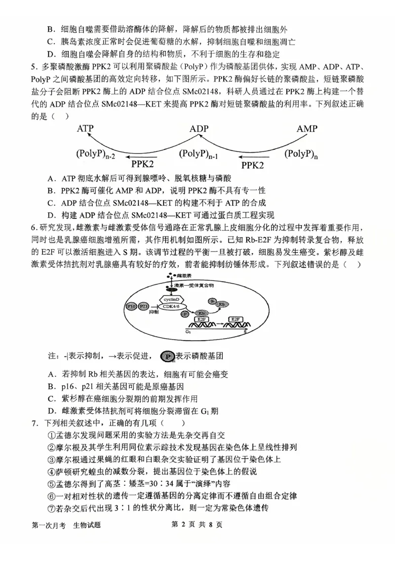 河南省南阳市第一中学2026届高三上学期第一次月考试题生物PDF版含答案_2025年10月_251026河南省南阳市第一中学2026届高三上学期第一次月考