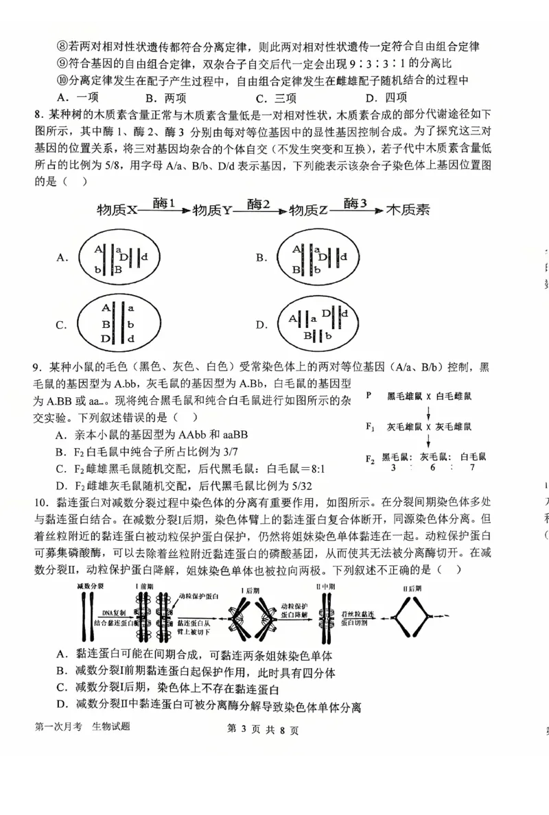 河南省南阳市第一中学2026届高三上学期第一次月考试题生物PDF版含答案_2025年10月_251026河南省南阳市第一中学2026届高三上学期第一次月考