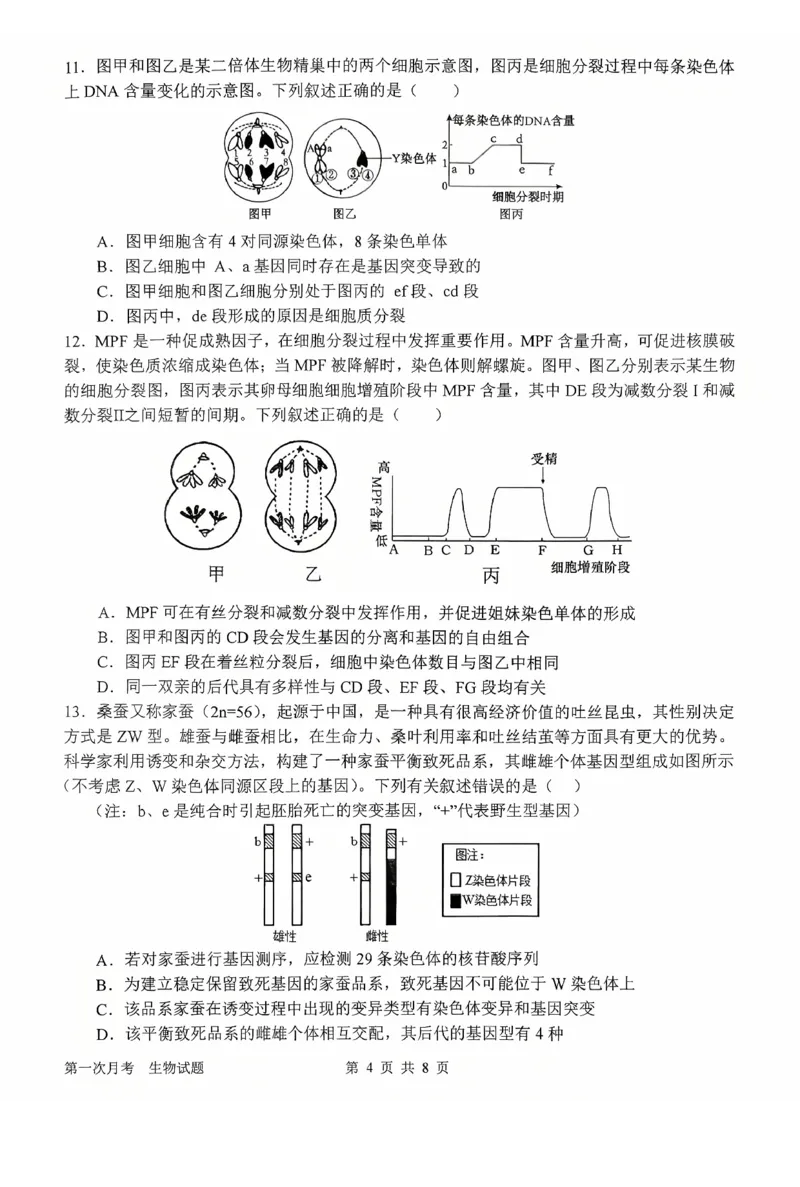 河南省南阳市第一中学2026届高三上学期第一次月考试题生物PDF版含答案_2025年10月_251026河南省南阳市第一中学2026届高三上学期第一次月考