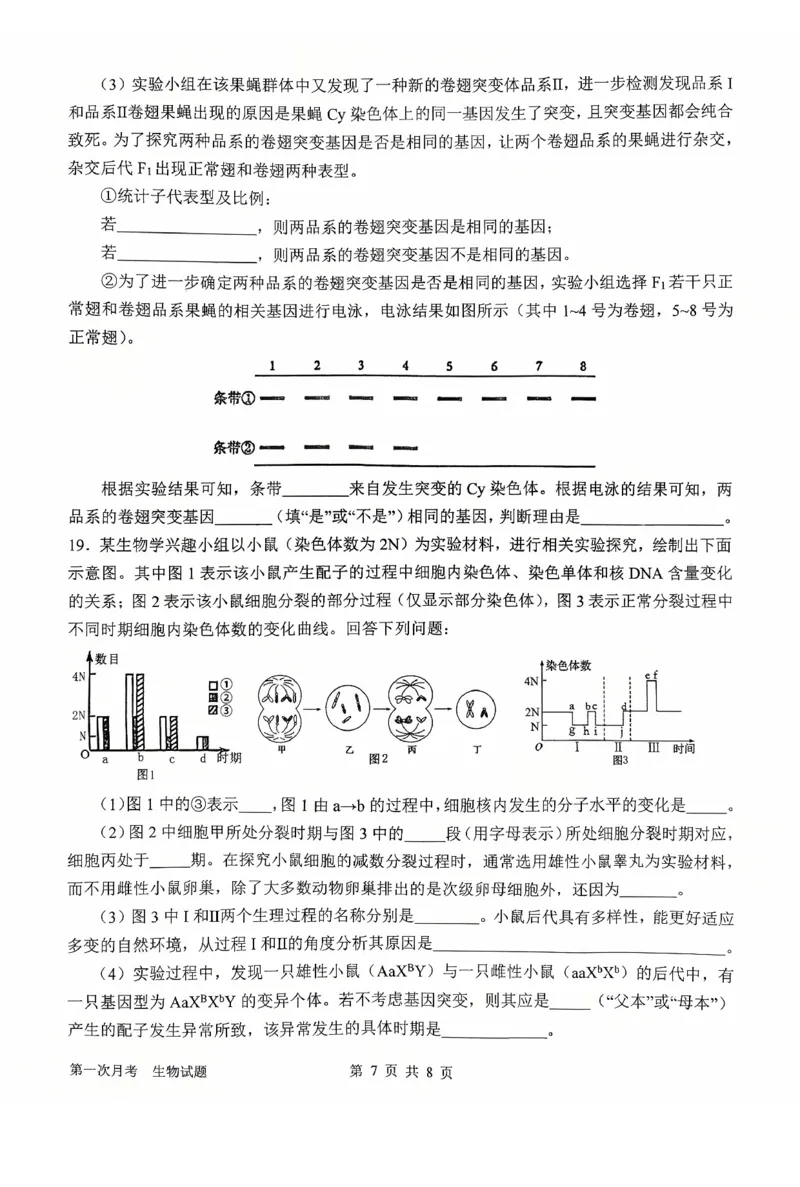 河南省南阳市第一中学2026届高三上学期第一次月考试题生物PDF版含答案_2025年10月_251026河南省南阳市第一中学2026届高三上学期第一次月考