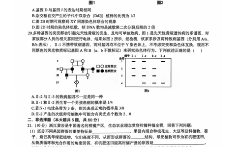 浙江省六校联盟2025届高三下学期5月模拟考试生物试卷（含答案）_2025年5月_250526浙江省六校（杭二温中金华一中绍兴一中舟山中学衢州二中）联盟2025届高三5月模拟预测卷（全科）