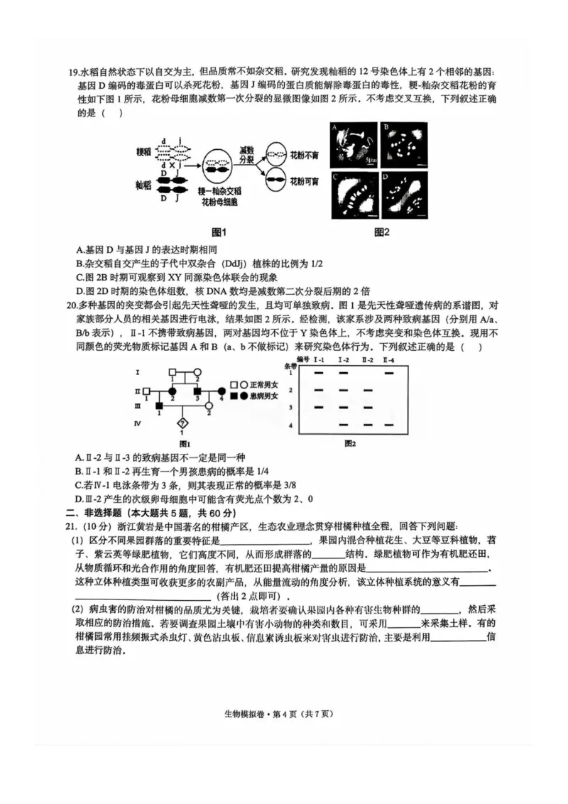 浙江省六校联盟2025届高三下学期5月模拟考试生物试卷（含答案）_2025年5月_250526浙江省六校（杭二温中金华一中绍兴一中舟山中学衢州二中）联盟2025届高三5月模拟预测卷（全科）
