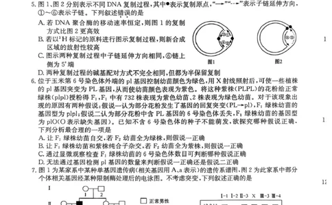 安徽省县域高中合作共享联盟2024-2025学年高三下学期4月月考生物试卷（含答案）_2025年4月_250427安徽县中联盟2024-2025学年度高三4月联考25-X-552C（全科）