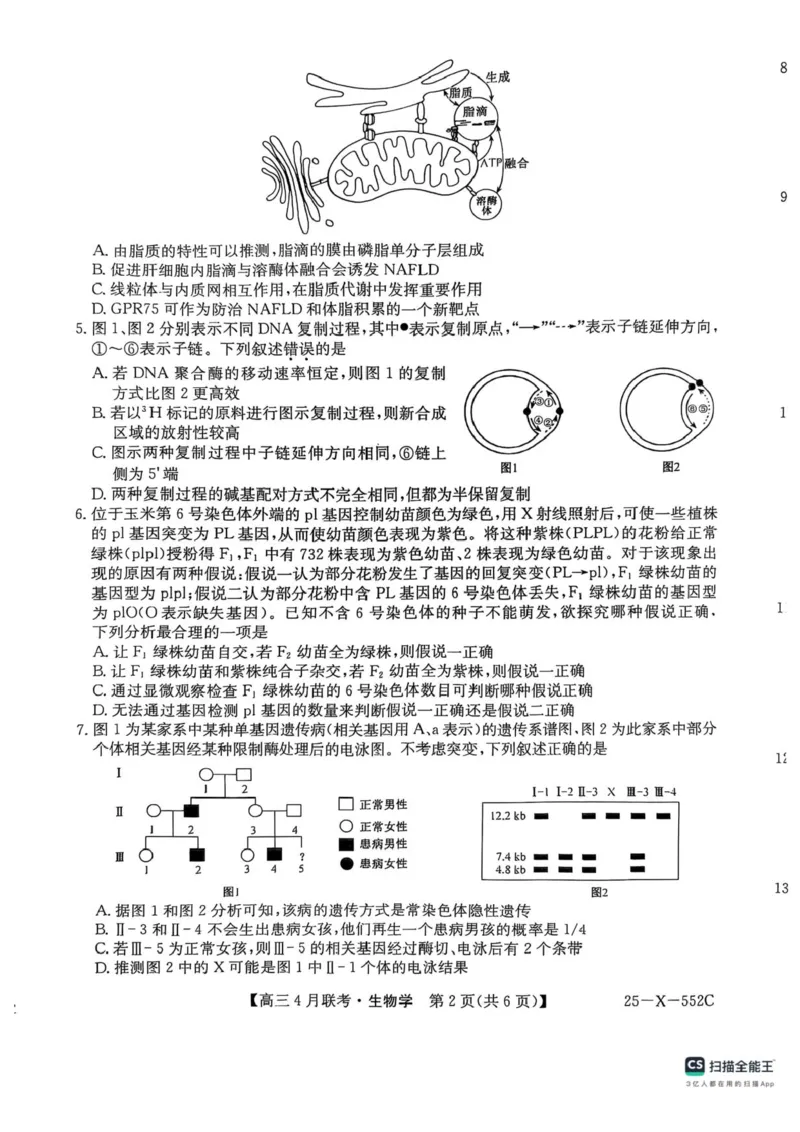 安徽省县域高中合作共享联盟2024-2025学年高三下学期4月月考生物试卷（含答案）_2025年4月_250427安徽县中联盟2024-2025学年度高三4月联考25-X-552C（全科）
