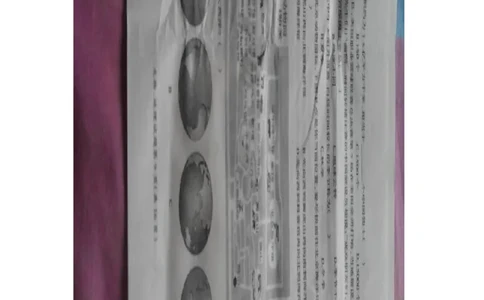 黑龙江省大庆市2015年中考地理真题试题（扫描版，含答案）_中考真题_9.地理中考真题2015-2024年_2015年全国中考地理113份