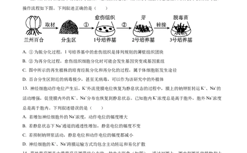 浙江省杭州市第二中学2026届高三上学期10月月考生物试题（原卷版）_2025年10月_12026年试卷教辅资源等多个文件_251026浙江省杭州市第二中学2026届高三上学期10月月考
