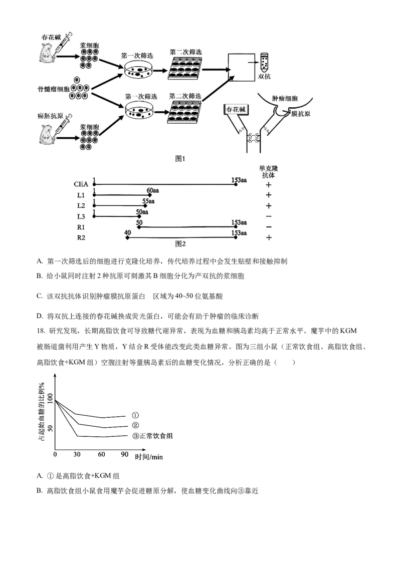 浙江省杭州市第二中学2026届高三上学期10月月考生物试题（原卷版）_2025年10月_12026年试卷教辅资源等多个文件_251026浙江省杭州市第二中学2026届高三上学期10月月考
