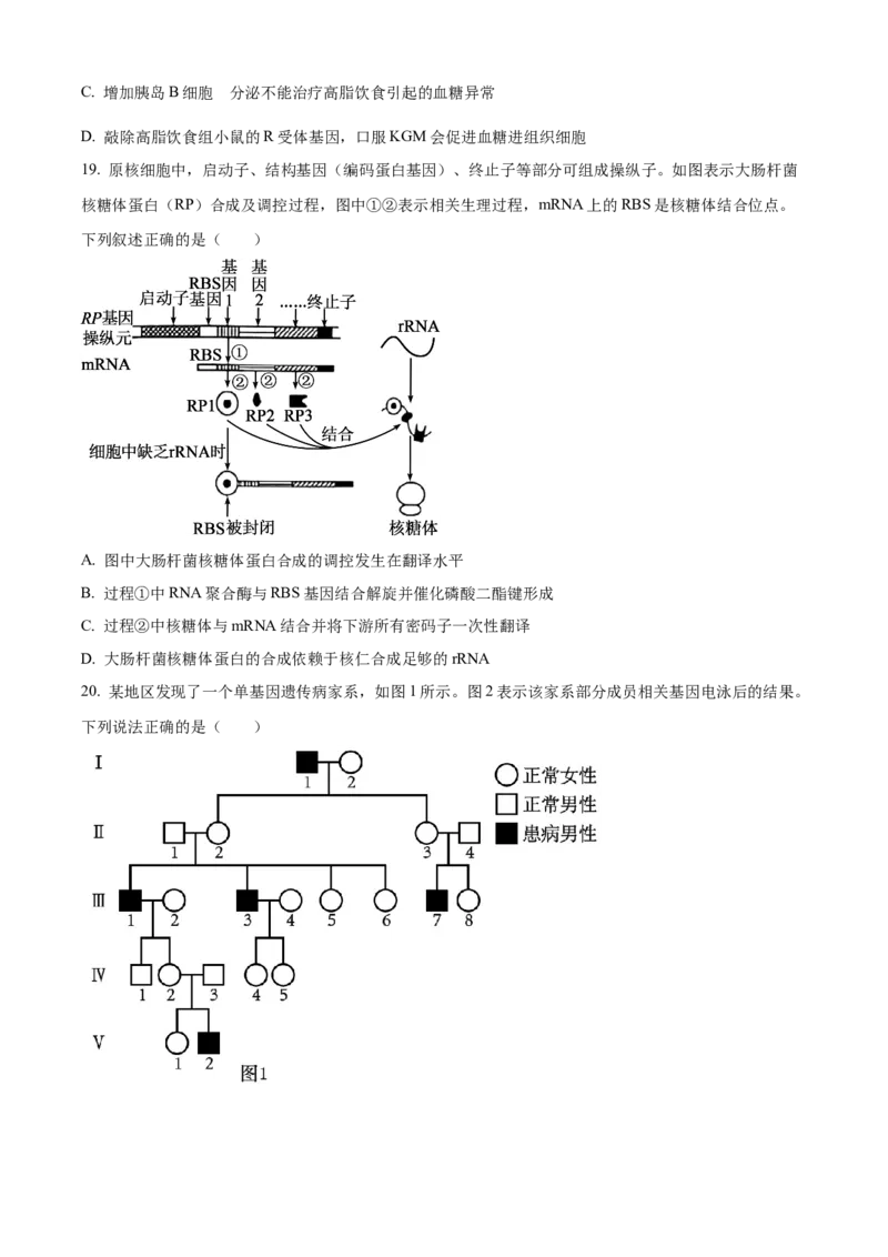 浙江省杭州市第二中学2026届高三上学期10月月考生物试题（原卷版）_2025年10月_12026年试卷教辅资源等多个文件_251026浙江省杭州市第二中学2026届高三上学期10月月考