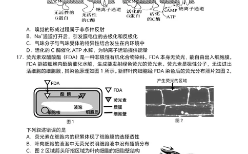 浙江Z20名校联盟2025届高三第三次联考-生物试卷_2025年5月_250517浙江省Z20联盟（浙江省名校新高考研究联盟）2025届高三第三次联考（全科）