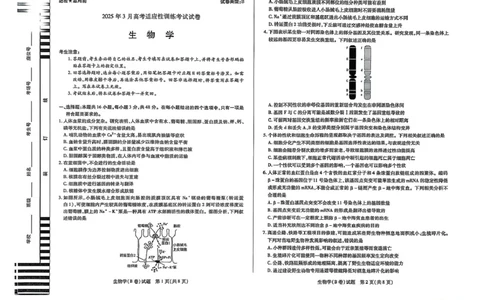 生物生物_2025年3月_2503132025届山西省晋中市天一大联考高三下学期3月高考适应性训练（二模）（全科）_2025届山西省晋中市高三下学期适应性训练考试（二模）生物学试题（含答案）