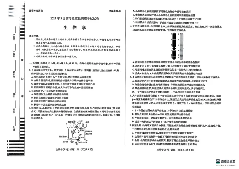生物生物_2025年3月_2503132025届山西省晋中市天一大联考高三下学期3月高考适应性训练（二模）（全科）_2025届山西省晋中市高三下学期适应性训练考试（二模）生物学试题（含答案）