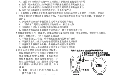 广东省惠州市2025届高三第三次调研考试（惠州三调）生物学试题（含答案）_2025年1月_250116广东省惠州市2025届高三第三次调研考试（惠州三调）