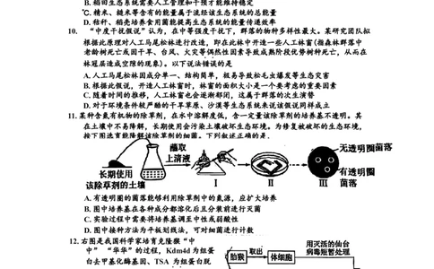 广东省惠州市2025届高三第三次调研考试（惠州三调）生物学试题（含答案）_2025年1月_250116广东省惠州市2025届高三第三次调研考试（惠州三调）