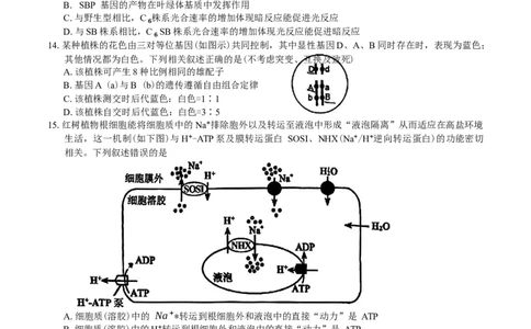 广东省惠州市2025届高三第三次调研考试（惠州三调）生物学试题（含答案）_2025年1月_250116广东省惠州市2025届高三第三次调研考试（惠州三调）