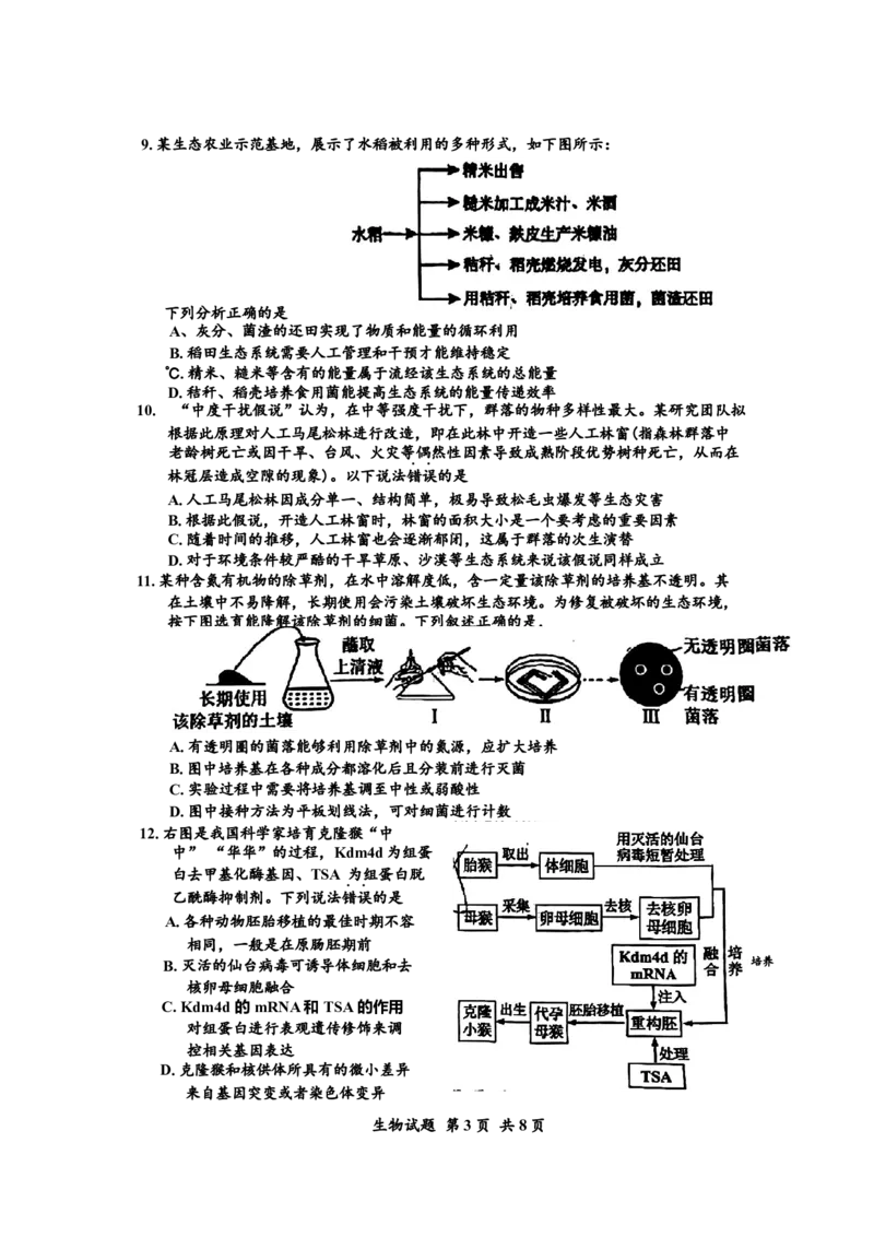 广东省惠州市2025届高三第三次调研考试（惠州三调）生物学试题（含答案）_2025年1月_250116广东省惠州市2025届高三第三次调研考试（惠州三调）