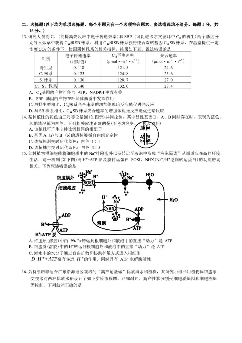 广东省惠州市2025届高三第三次调研考试（惠州三调）生物学试题（含答案）_2025年1月_250116广东省惠州市2025届高三第三次调研考试（惠州三调）