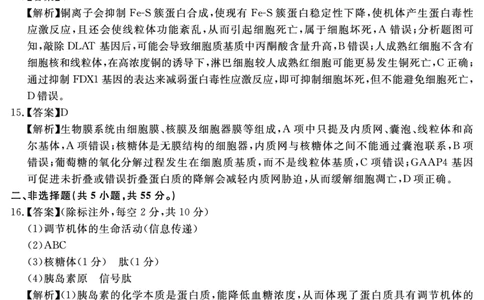 安徽省2025-2026学年度&ldquo;耀正优&rdquo;高三年级10月阶段检测生物答案_2025年10月_251017安徽省202-2026学年度&ldquo;耀正优&rdquo;高三年级10月阶段检测（全科）