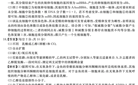 安徽省2025-2026学年度&ldquo;耀正优&rdquo;高三年级10月阶段检测生物答案_2025年10月_251017安徽省202-2026学年度&ldquo;耀正优&rdquo;高三年级10月阶段检测（全科）