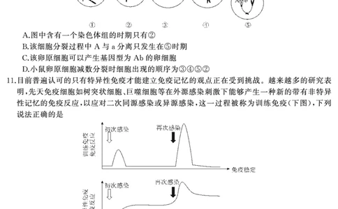 湖南省天壹名校联盟2025届高三5月适应性考试生物_2025年5月_250512湖南省天壹名校联盟2025届高三5月适应性考试（全科）