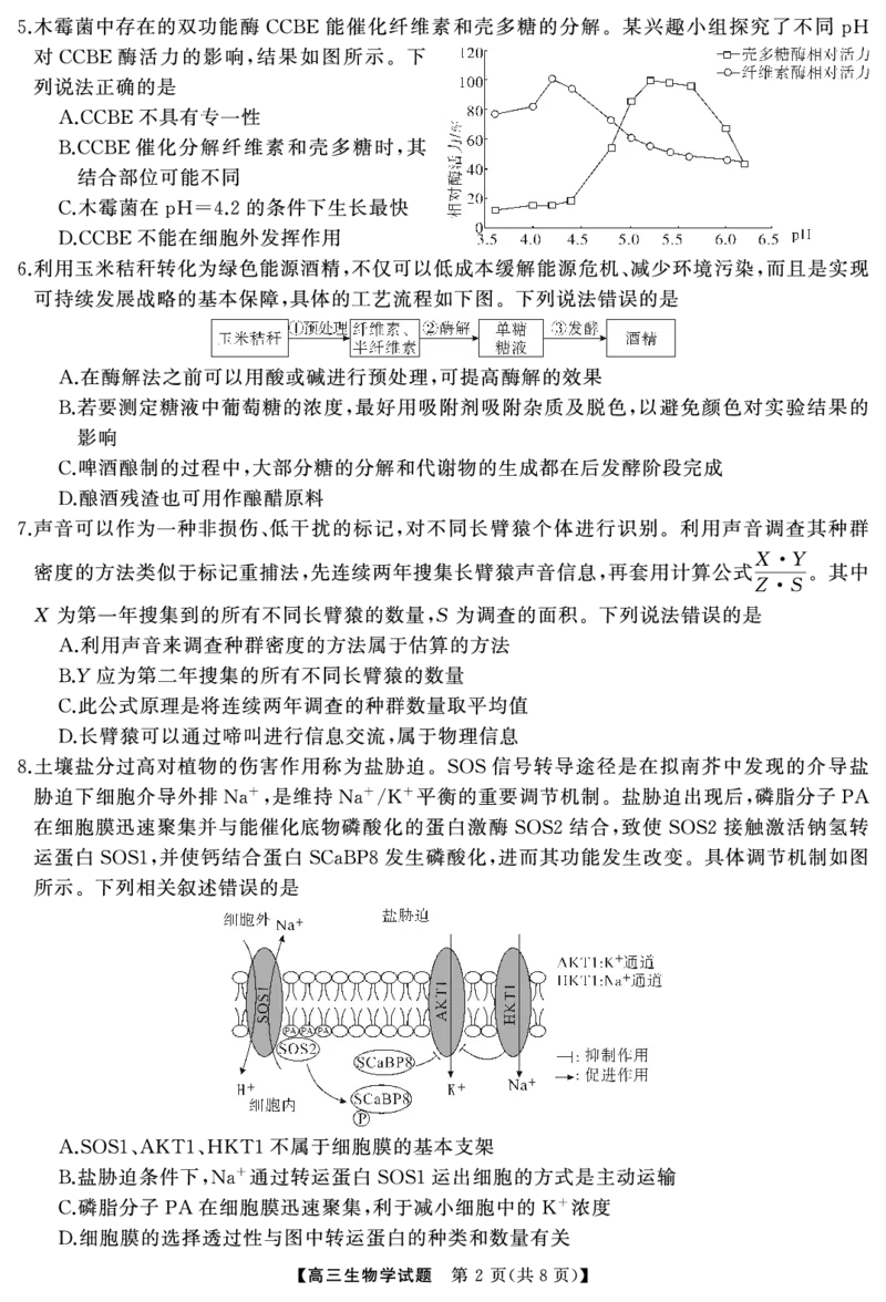 湖南省天壹名校联盟2025届高三5月适应性考试生物_2025年5月_250512湖南省天壹名校联盟2025届高三5月适应性考试（全科）