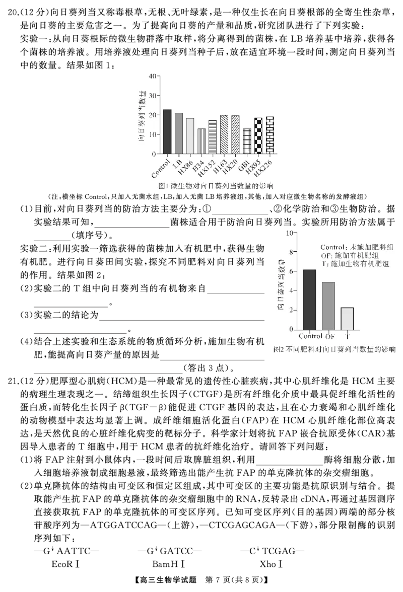 湖南省天壹名校联盟2025届高三5月适应性考试生物_2025年5月_250512湖南省天壹名校联盟2025届高三5月适应性考试（全科）