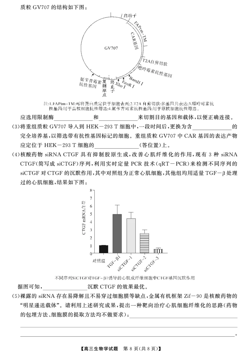 湖南省天壹名校联盟2025届高三5月适应性考试生物_2025年5月_250512湖南省天壹名校联盟2025届高三5月适应性考试（全科）