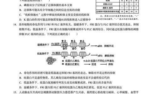 广西省南宁二中&middot;2025年5月高三冲刺考生物_2025年5月_250521广西省南宁二中&middot;2025年5月高三冲刺考（全科）
