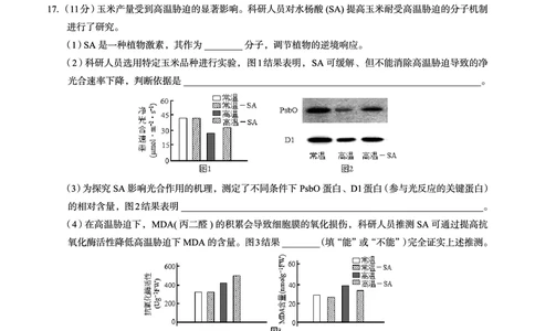 广西省南宁二中&middot;2025年5月高三冲刺考生物_2025年5月_250521广西省南宁二中&middot;2025年5月高三冲刺考（全科）